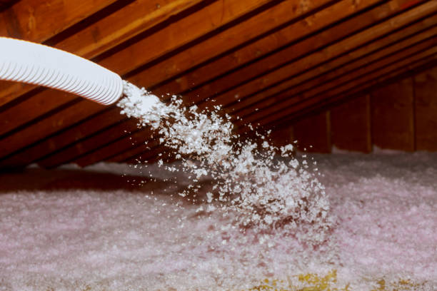 Best Specialized Insulation Services in Patrick Springs, VA